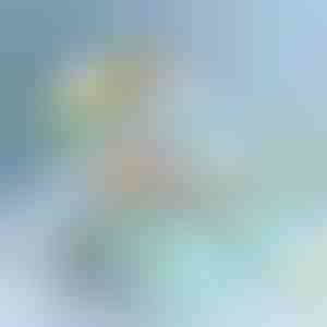 Мултифункционална кутија за чување | BOKSARA