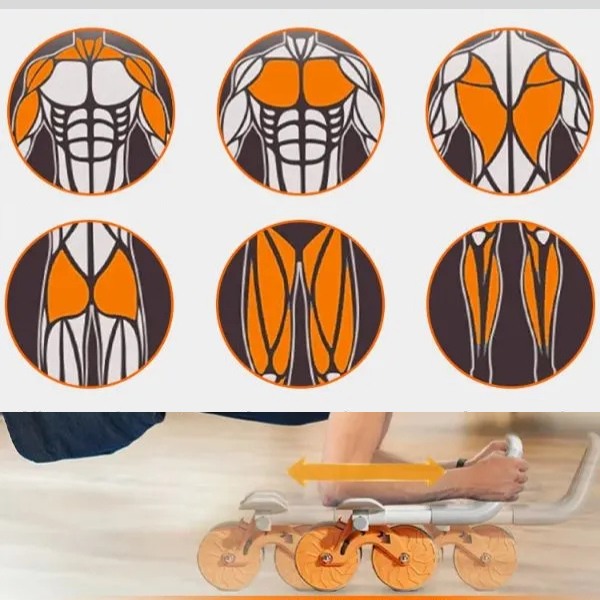 Targeted Muscle Groups