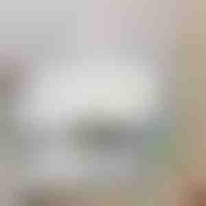 Плафонски вентилатор со LED светло | FANGLO