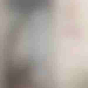 Магнетна мрежа за врати | INSECTPROTECT