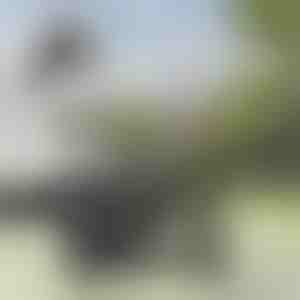 Преносна Пумпа | ROTOPUMP