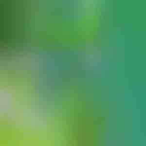 Алатка за отстранување на коров | SPINOUT