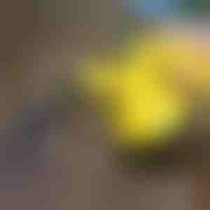 Парочистач за дезинфекција | VAPERO