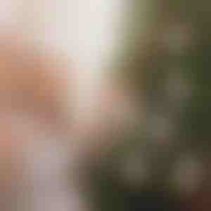 Украси за новогодишно дрво за пари (4 парчиња) | WEALTHMAS