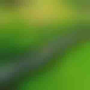 Камени огради за градина (10 парчиња) | MINIFENCE