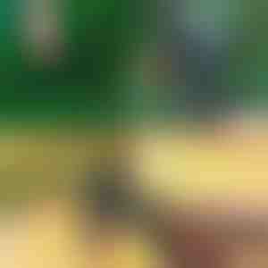 Професионални 2-во-1 ножици за резидба и калемење | MASTERCUT