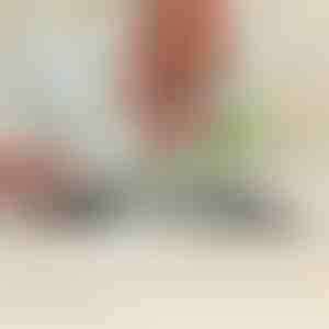 Универзален острилка за градинарски алат и кујнски ножеви | SHARPNINJA