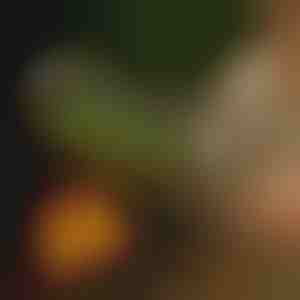 Кошница за скара на точкови | ROLOGRILL