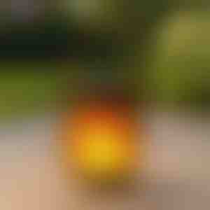 Соларни фенери со ефект на танцувачки пламен | FLAMLUX