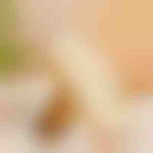 Гумена четка за чевли | RUBSHOE