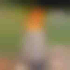 Бездимен масен камин - вистински пламен, без чад, за внатрешна и надворешна употреба | FIRENOVA